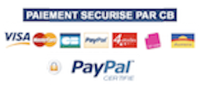 LOGO PAYPAL CARTES OK